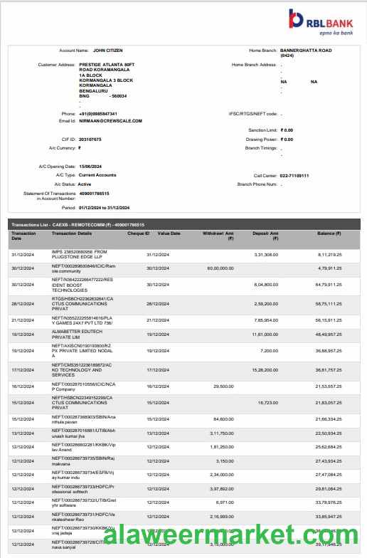India RBL bank statement Word and PDF template, 2 pages